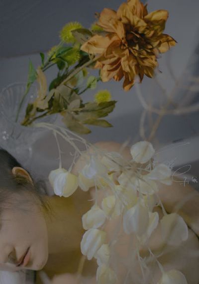 丰满的的女老板bd高清