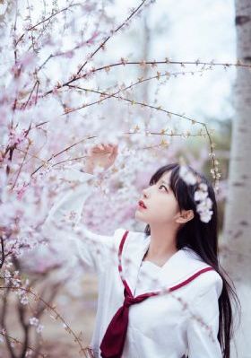 恋爱自由式